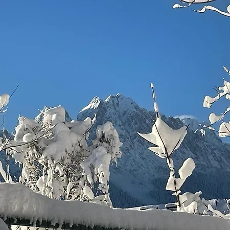 Appartamento Alpine Garden *