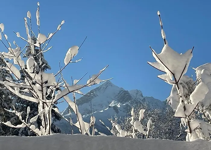 Alpine Garden Lejlighed *