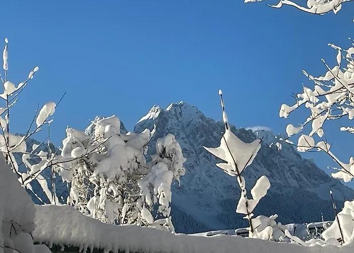 Lejlighed Alpine Garden *