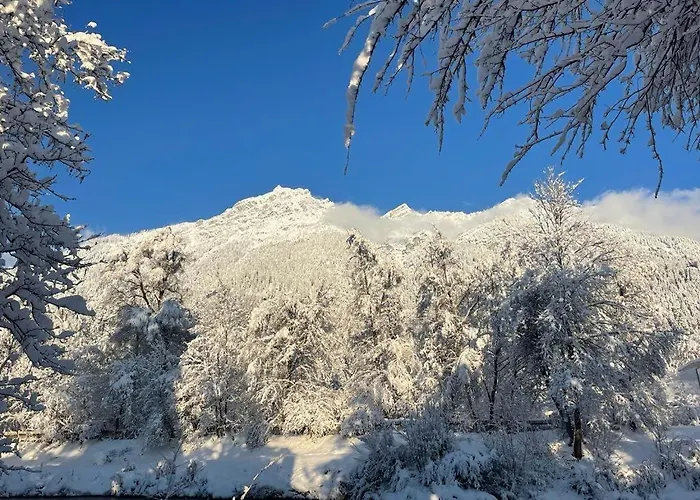 Lejlighed Alpine Garden *